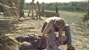 Кадры из фильма Камышовый рай (1989)