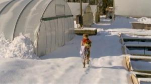 Кадры из фильма Свадьба лучшей подруги / Im Namen der Braut (2006)
