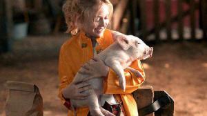 Кадры из фильма Паутина Шарлотты / Charlotte's Web (2006)