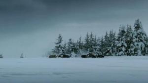 Кадры из фильма Заяц Ватанена / Le lievre de Vatanen (2006)