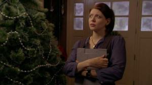 Кадры из фильма Книга желаний / Holiday Wishes (2006)