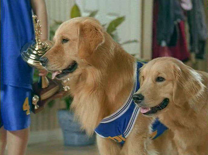 Кадр из фильма Принцы воздуха / Air Buddies (2006)