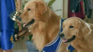 Кадры из фильма Принцы воздуха / Air Buddies (2006)