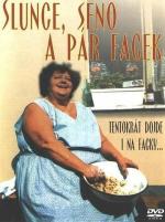 Солнце, сено и пара оплеух / Slunce, seno a pár facek (1989)