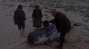 Кадры из фильма Когда прибывают киты / When the Whales Came (1989)