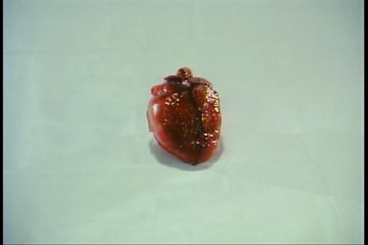 Кадр из фильма Невеста Реаниматора / Bride of Re-Animator (1990)