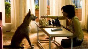 Кадры из фильма Дом у озера / The Lake House (2006)