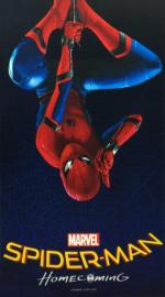 Человек-паук: Возвращение домой / Spider-Man: Homecoming (2017)
