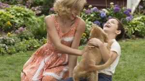 Кадры из фильма Собачья жизнь / A Dog's Purpose (2017)