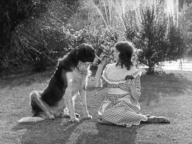 Кадр из фильма Шерлок младший / Sherlock Jr. (1924)