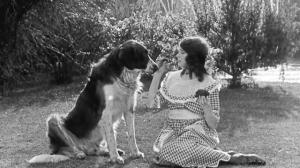 Кадры из фильма Шерлок младший / Sherlock Jr. (1924)