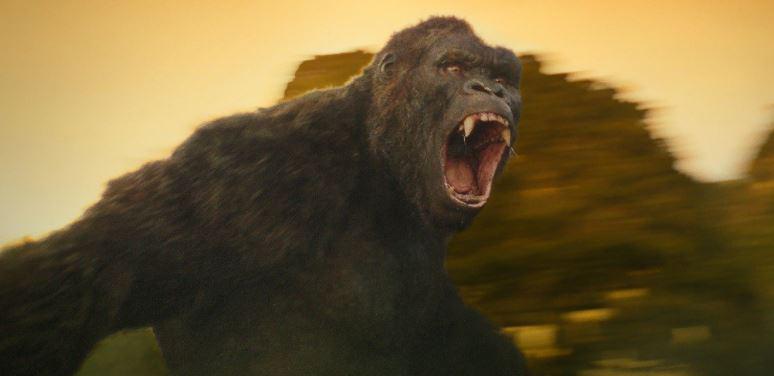 Кадр из фильма Конг: Остров черепа / Kong: Skull Island (2017)