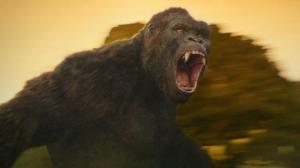 Кадры из фильма Конг: Остров черепа / Kong: Skull Island (2017)