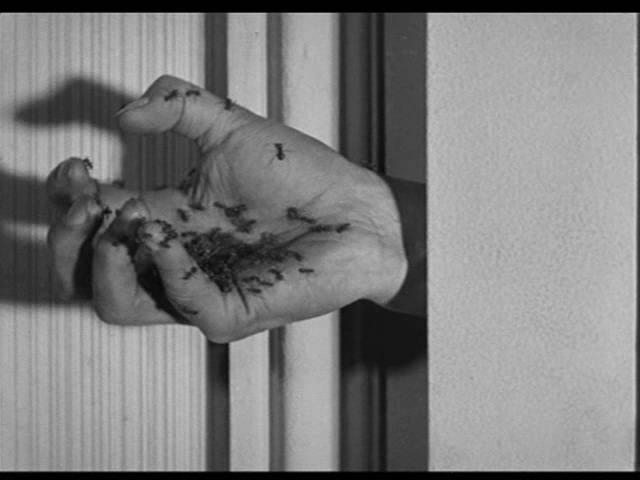 Кадр из фильма Андалузский пёс / Un chien andalou (1929)