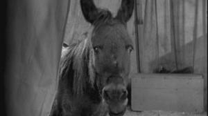 Кадры из фильма Цирк / The Circus (1928)