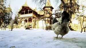 Кадры из фильма Зимняя сказка, или королева, потерявшая имя / Fräulein: una fiaba d'inverno (2017)