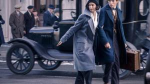 Кадры из фильма Фантастические твари и где они обитают / Fantastic Beasts and Where to Find Them (2016)
