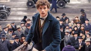Кадры из фильма Фантастические твари и где они обитают / Fantastic Beasts and Where to Find Them (2016)