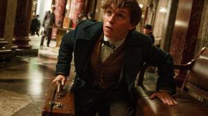 Кадры из фильма Фантастические твари и где они обитают / Fantastic Beasts and Where to Find Them (2016)