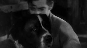 Кадры из фильма Зов предков / Call of the Wild (1935)