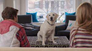 Кадры из фильма Имущество с хвостом / Who Gets the Dog? (2016)
