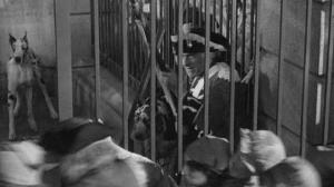 Кадры из фильма Повесть о двух городах / A Tale of Two Cities (1935)