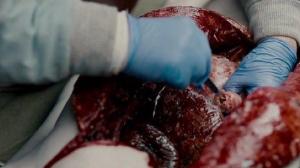 Кадры из фильма Демон внутри / The Autopsy of Jane Doe (2016)