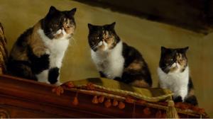 Кадры из фильма Девять жизней / Nine Lives (2016)