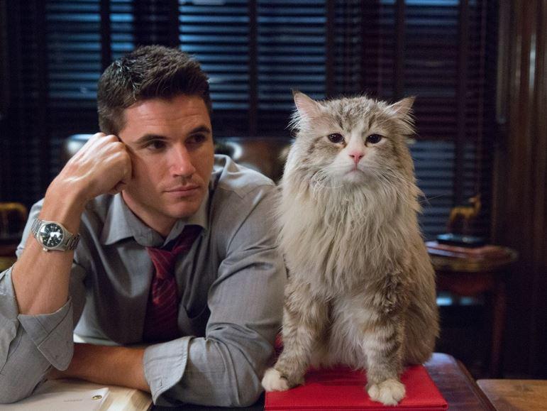 Кадр из фильма Девять жизней / Nine Lives (2016)