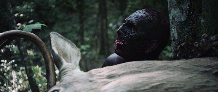 Кадр из фильма Девушка в лесу / Girl in Woods (2016)