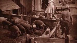 Кадры из фильма Волшебник страны Оз / Wizard of Oz (1939)