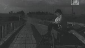 Кадры из фильма Старый наездник (1940)