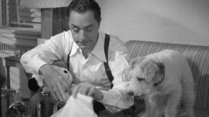 Кадры из фильма Другой тонкий человек / Another Thin Man (1939)