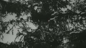 Кадры из фильма Фронтовые подруги (1941)