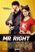 Мой парень – киллер / Mr. Right (2016)