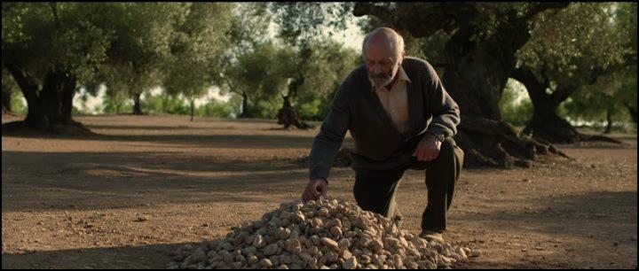 Кадр из фильма Олива / El olivo (2016)
