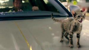 Кадры из фильма Киану / Keanu (2016)