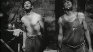 Кадры из фильма Партизаны в степях Украины (1943)