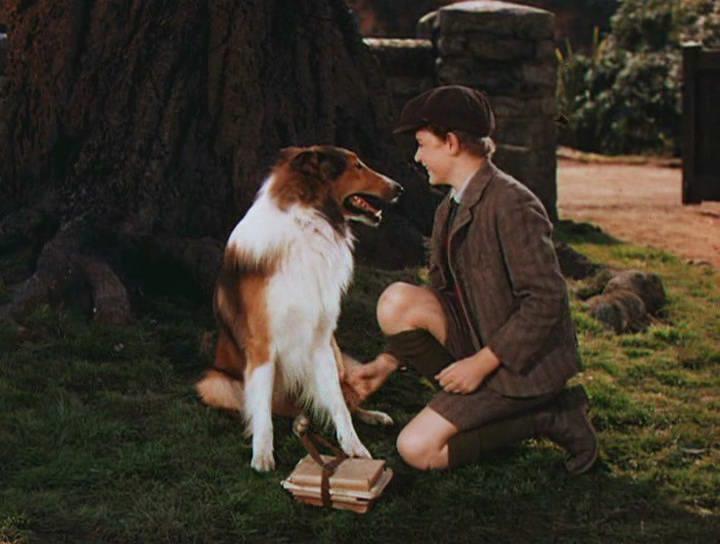 Кадр из фильма Лэсси возвращается домой / Lassie Come Home (1943)