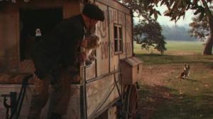 Кадры из фильма Лэсси возвращается домой / Lassie Come Home (1943)