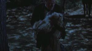Кадры из фильма Лэсси возвращается домой / Lassie Come Home (1943)