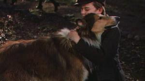 Кадры из фильма Лэсси возвращается домой / Lassie Come Home (1943)