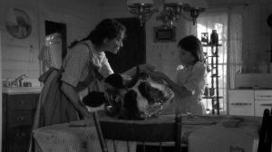 Кадры из фильма Глаза моей матери / The Eyes of My Mother (2016)