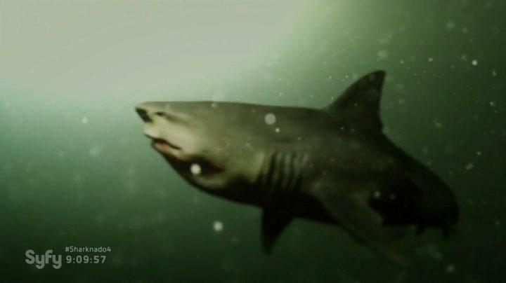 Кадр из фильма Акульи плотины / Dam Sharks (2016)