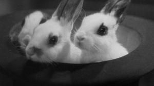 Кадры из фильма Леди исчезает / The Lady Vanishes (1938)