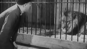 Кадры из фильма Бродяги / Wlóczegi (1939)