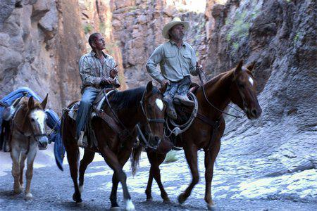 Кадр из фильма Три могилы / The Three Burials of Melquiades Estrada (2006)