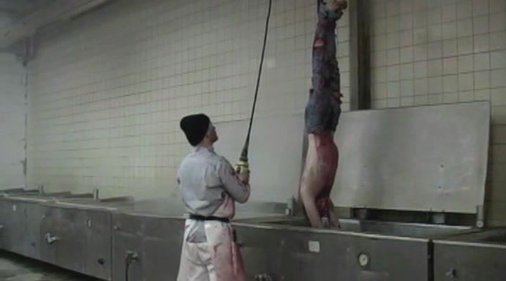 Кадр из фильма Психотика / Psychotica (2006)