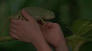 Кадры из фильма Повелитель мух / Lord of the Flies (1990)
