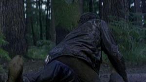 Кадры из фильма Лес теней / Bosque de sombras (2006)
